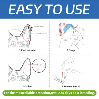 Dog Pregnancy Test Kit at Home- 5-Min Results, Painless & Clean (No Blood Draw), 99% Accurate for Breeders & Owners