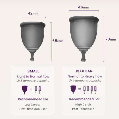EcoBlossom Reusable Menstrual Cup & Case — Medical-Grade Silicone, 12-Hour Leak-Proof, Pack of 2 (Small & Large, Gray)