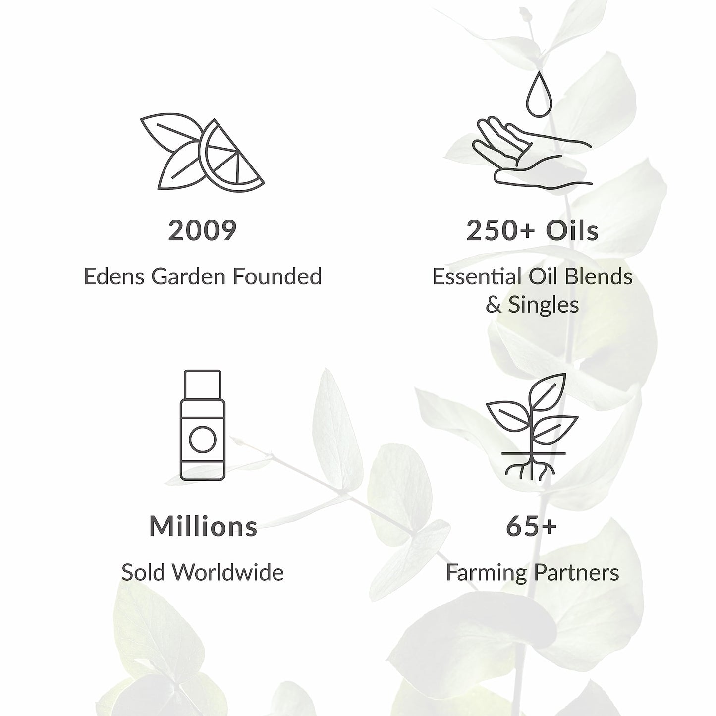 Be Fruitful Essential Oil Blend by Edens Garden | 100% Pure, Premium Grade, Therapeutic Aromatherapy 30 ml