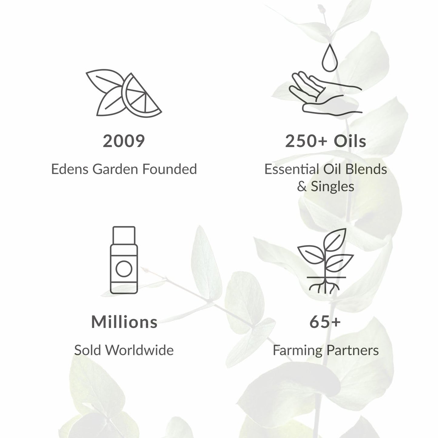 Edens Garden Cherry Blossom Essential Oil Blend – 100% Pure, Premium Grade, 10 ml