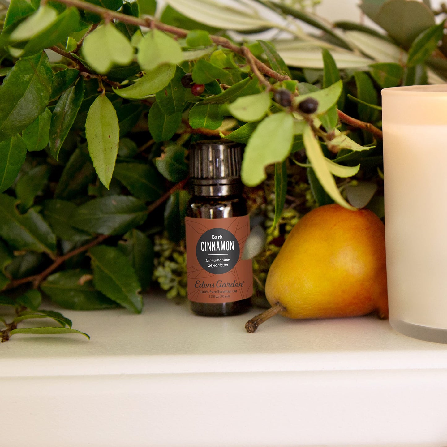 Edens Garden Cinnamon Bark Essential Oil – 100% Pure Premium Grade, Aromatherapy 10 ml