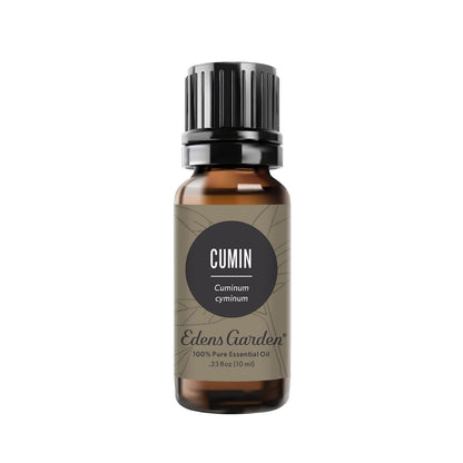Edens Garden Cumin Essential Oil – 100% Pure, Premium Grade, 10 ml