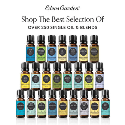 Edens Garden Eucalyptus-Blue Essential Oil - 100% Pure Premium Grade, 10 ml