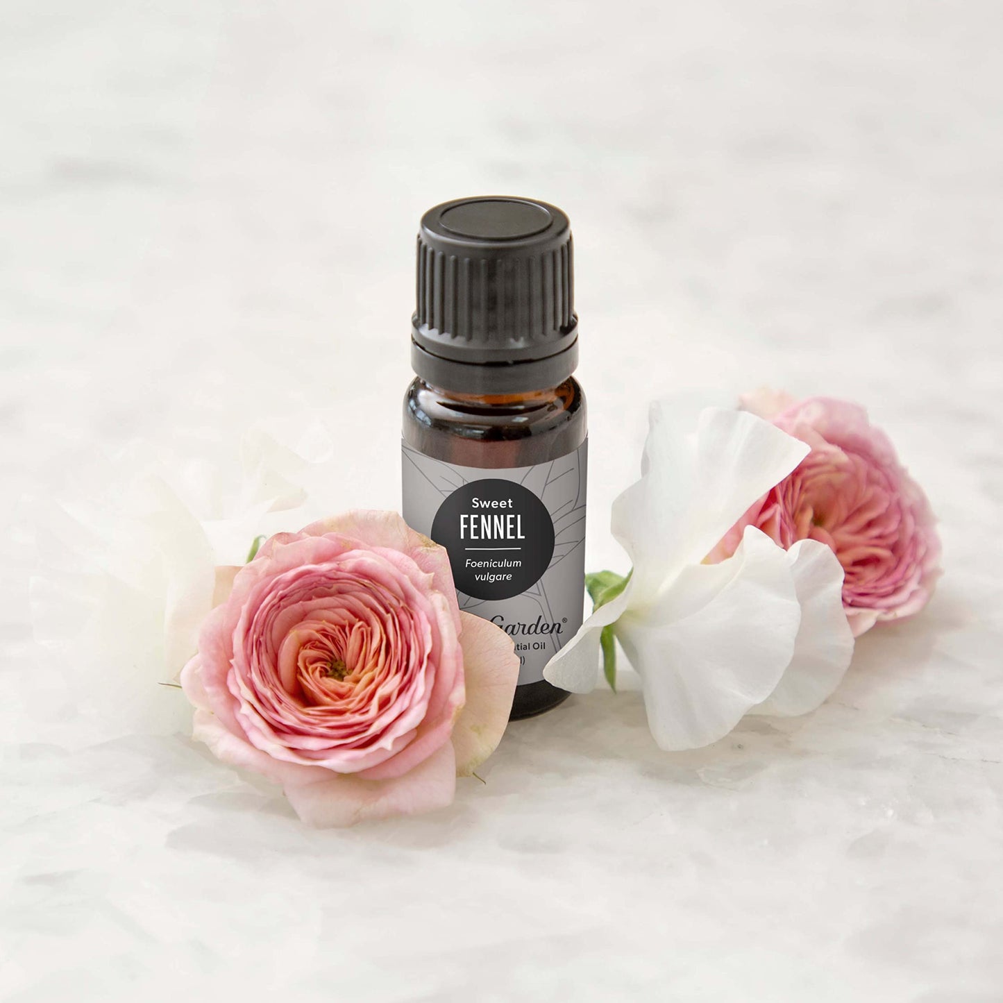 Edens Garden Fennel Sweet Essential Oil – 100% Pure Therapeutic Grade, 10 ml