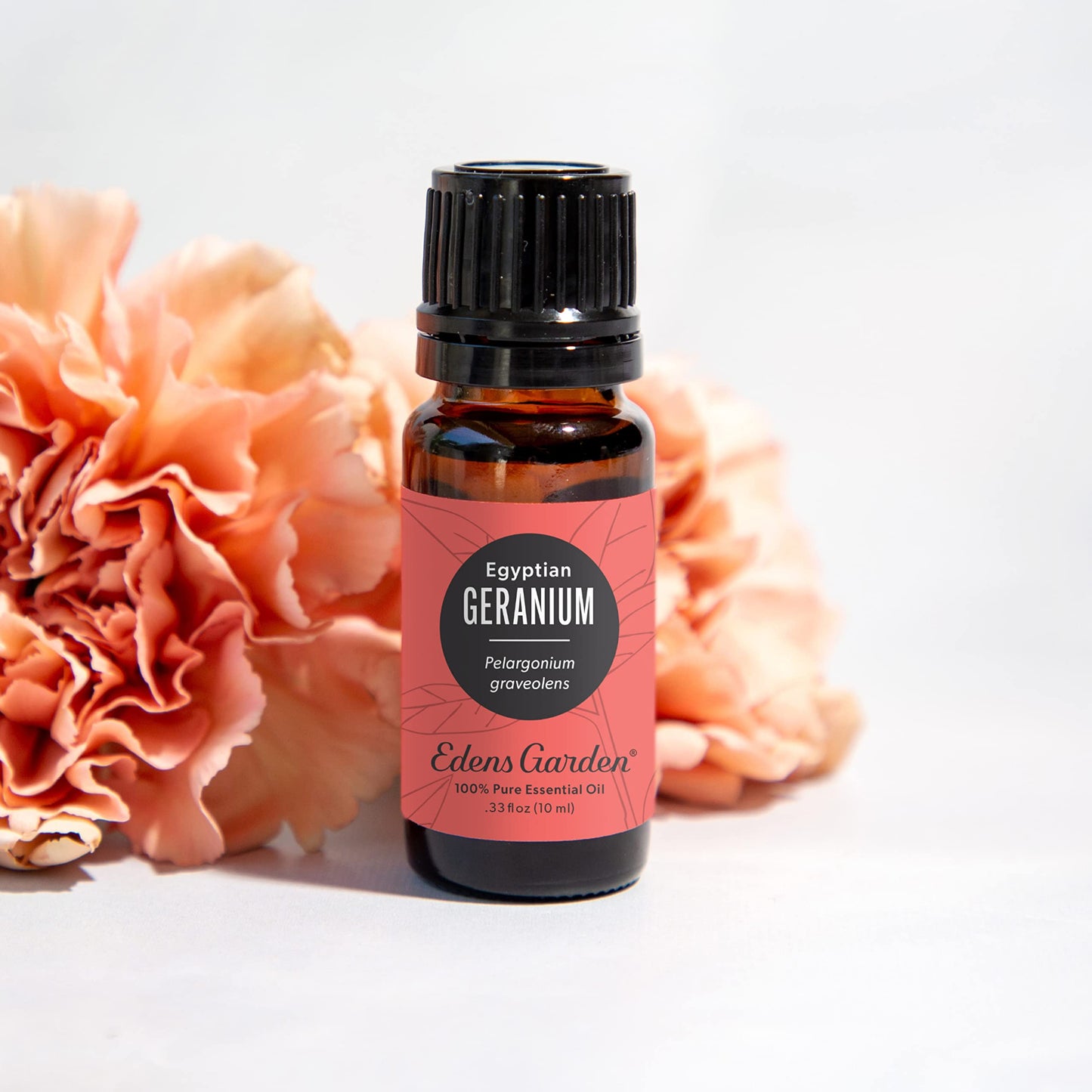 Edens Garden Geranium - Egyptian Essential Oil, 100% Pure Therapeutic Grade, 30 ml
