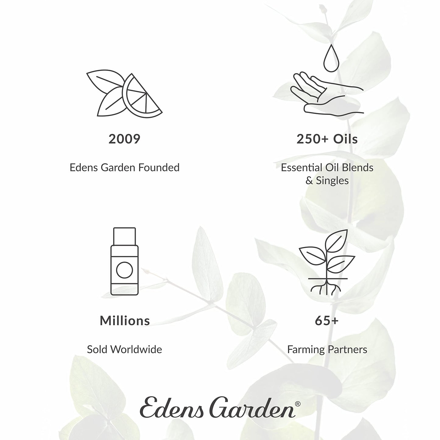 Edens Garden Hot Chocolate Hugs Essential Oil Blend - 100% Pure, Premium Grade, 10 ml
