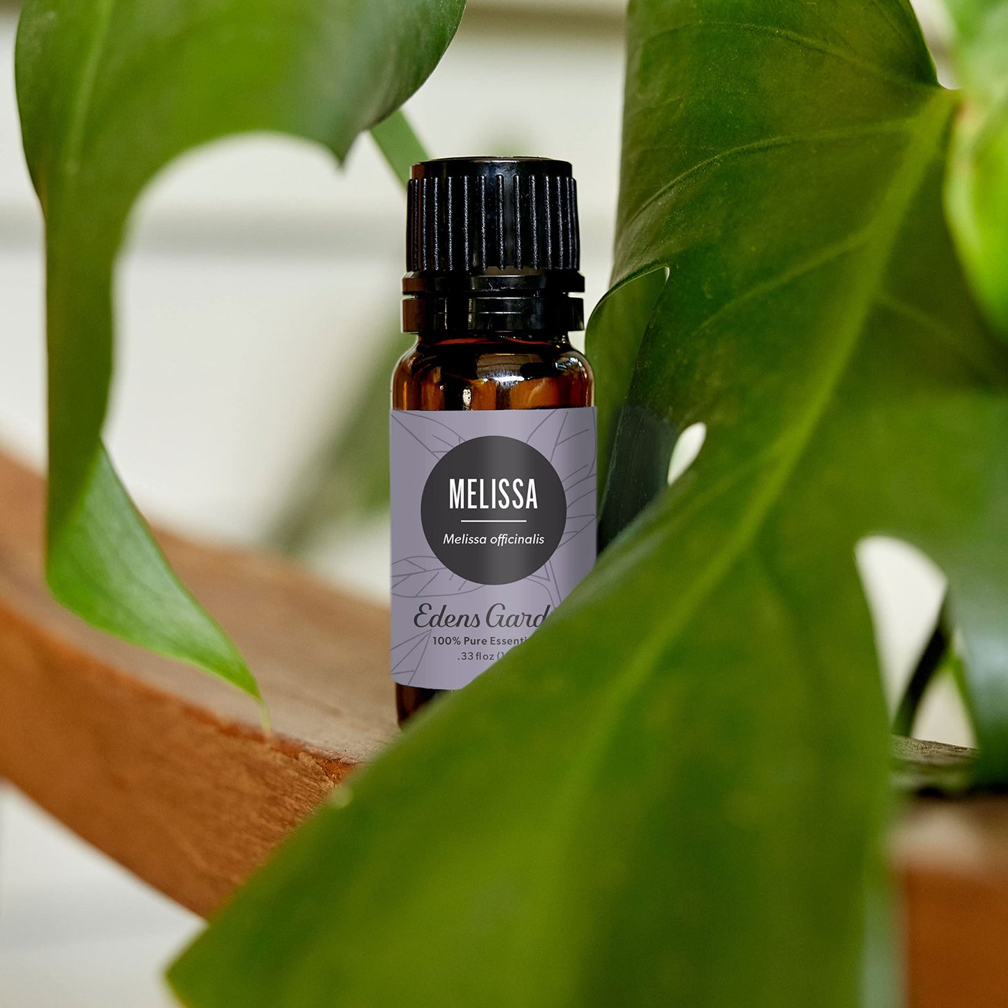 Edens Garden Melissa Essential Oil - 100% Pure Premium Grade, 30 ml
