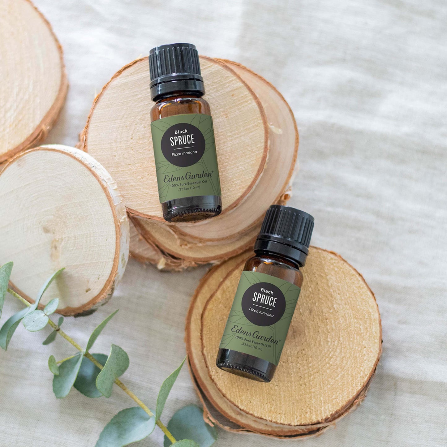 Edens Garden Spruce-Black Essential Oil – 100% Pure, Premium Grade, 10 ml
