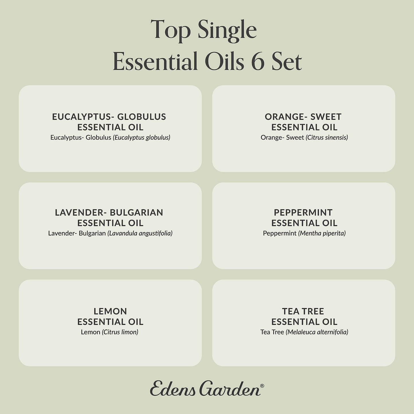Edens Garden Top Essential Oils 6 Set – 100% Pure Therapeutic Grade, Undiluted (10 ml each)