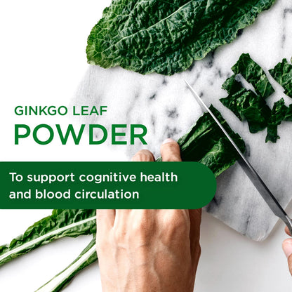 Emerald Labs Ginkgo Biloba Extract - Brain Health & Antioxidant Support - 60 Veg Capsules