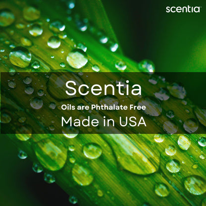 Scentia Hotel Diffuser Oil – Secret Voyage (50 mL) Cedar & Jasmine