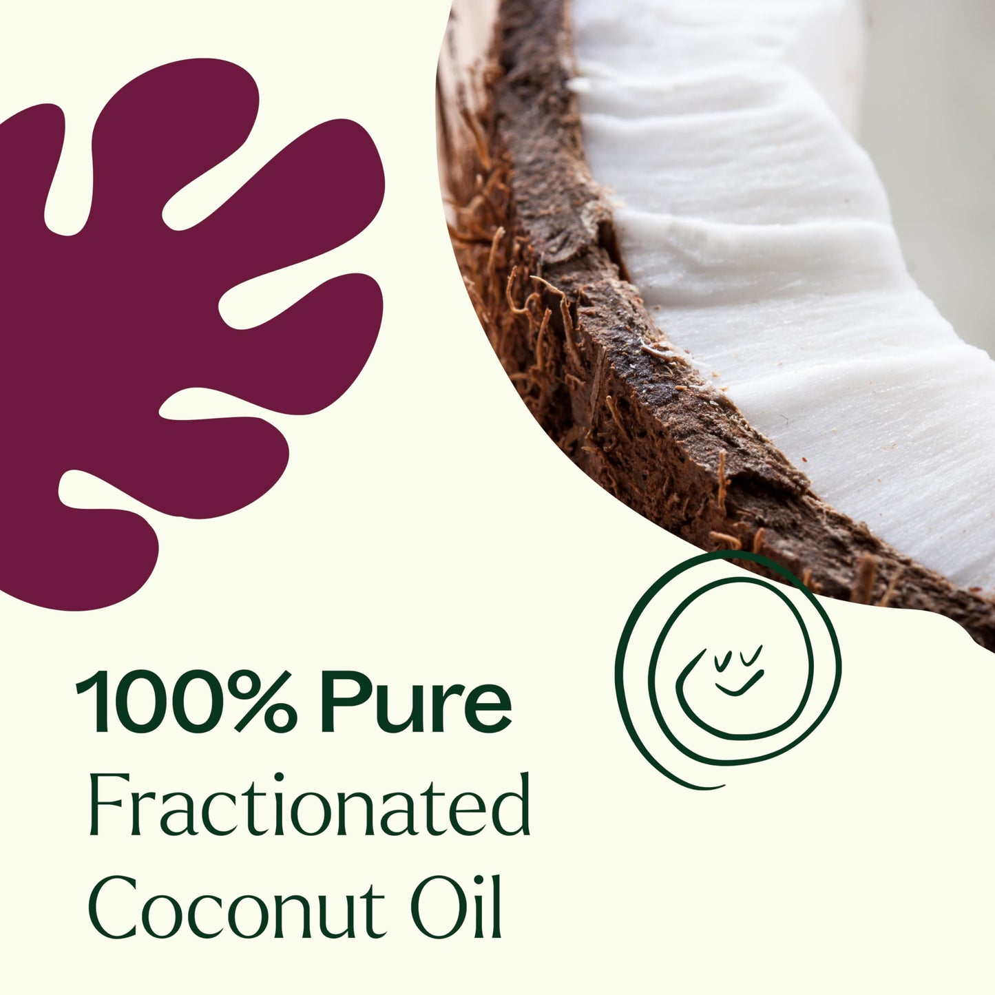 Plant Therapy Organic Fractionated Coconut Oil 32 oz – Carrier Oil for Skin, Hair & Massage