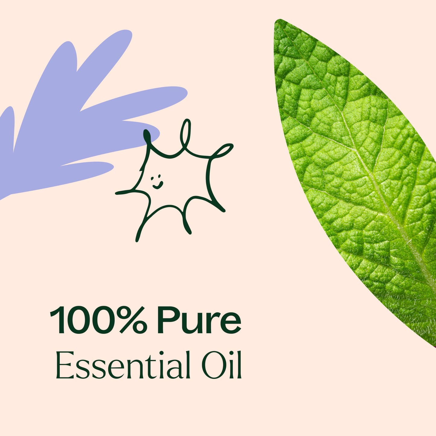 Plant Therapy Respir Aid Essential Oil Blend 10 mL – Sinus, Airway & Congestion Relief (Therapeutic Grade)