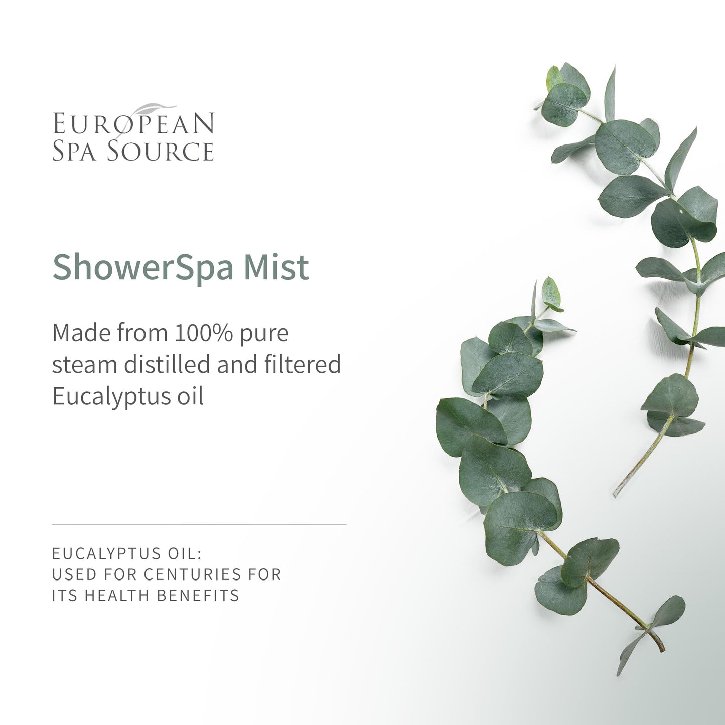 European Spa Source Special Edition – Eucalyptus, Wood Smoke & Leather Shower Spa Mist