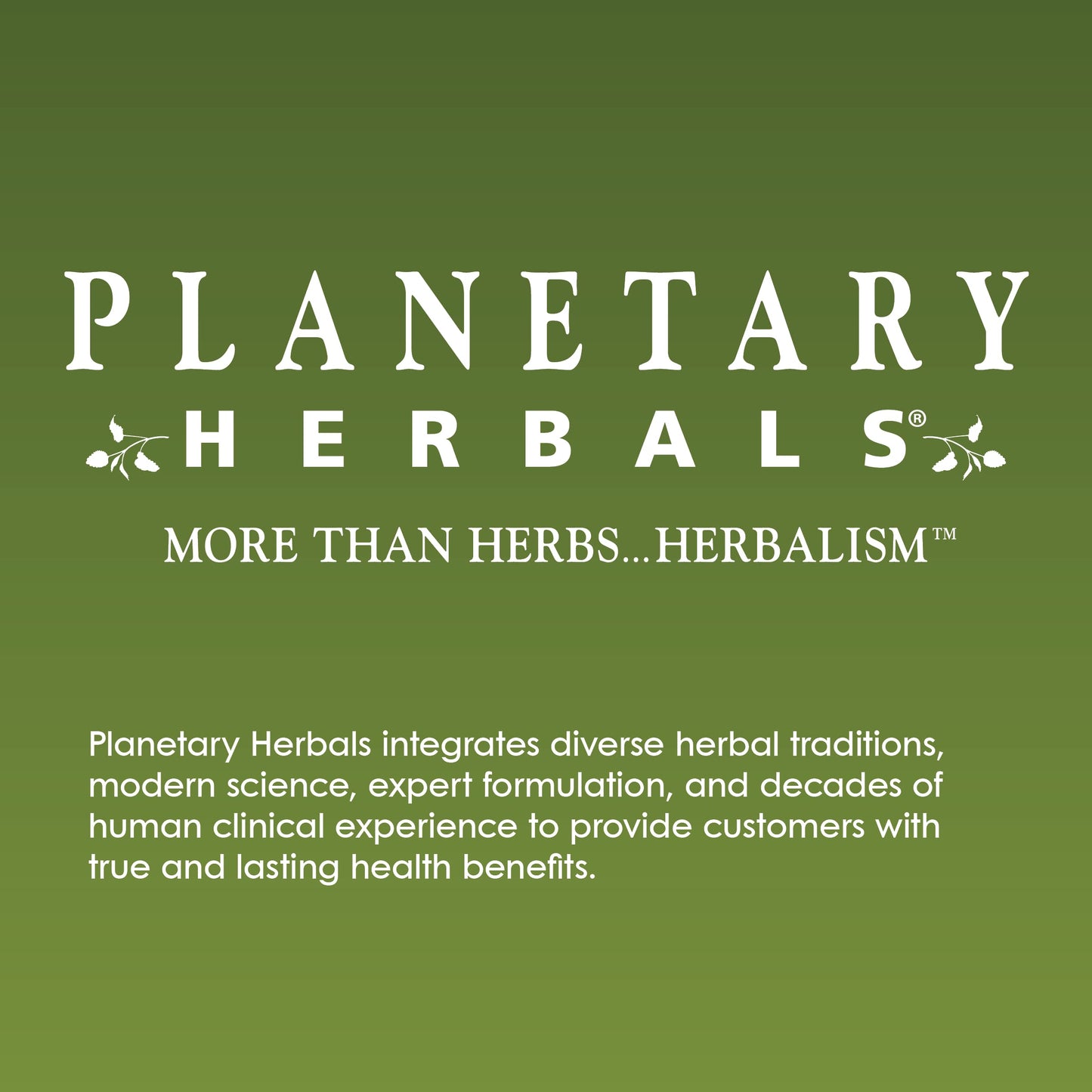 Planetary Herbals Pau D'Arco Deep Cleansing – 735 mg Herbal Supplement (72 Tablets)