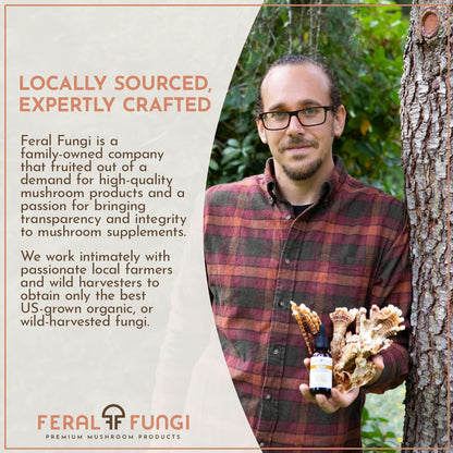 Feral Fungi Lion's Mane Tincture - 1 oz | 100% Pure USA-Grown Mushroom Extract