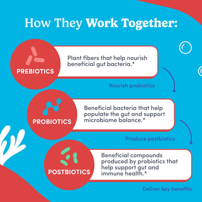 FIRST DAY Teens’ Gut Sustainer Tribiotic Gummies – 3-in-1 Prebiotic, Probiotic & Postbiotic (60-Day Supply)