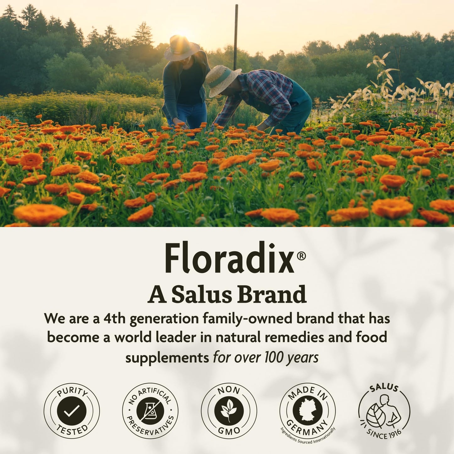 Floradix Magnesium Liquid – Gentle Herbal & Mineral Supplement for Nervous System & Muscle Support – Vegetarian, Gluten-Free, Non-GMO – 16.9 fl oz