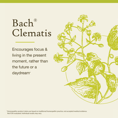Bach Original Flower Remedies – Clematis (Non-Alcohol) For Focus | 10mL Dropper