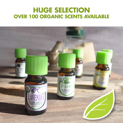 Healing Solutions Organic Frankincense Essential Oil 1 oz | Pure Frankincense for Skin & Face