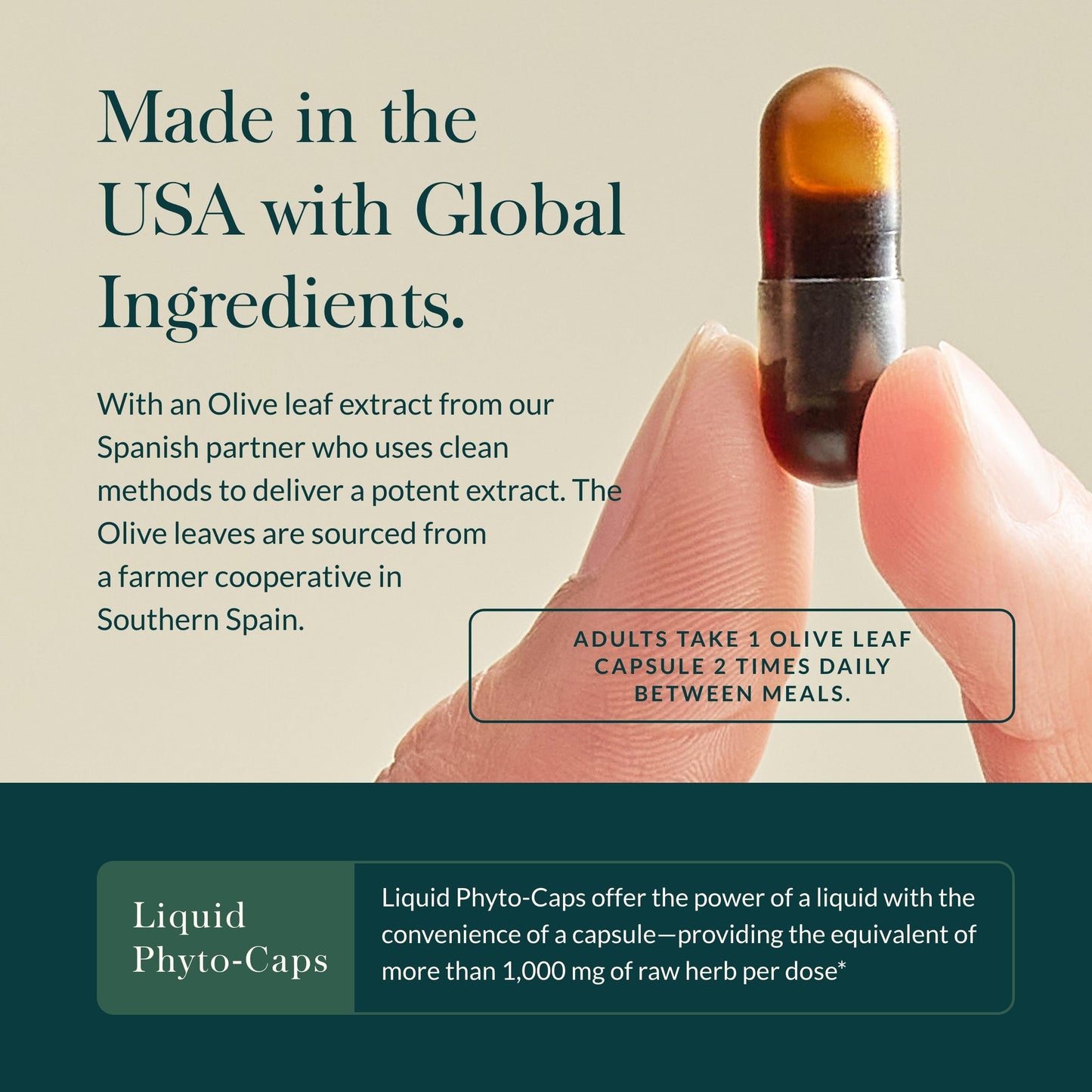 Gaia Herbs Olive Leaf - Traditional Immune Support with Oleuropein | 120 Vegan Liquid Phyto-Caps