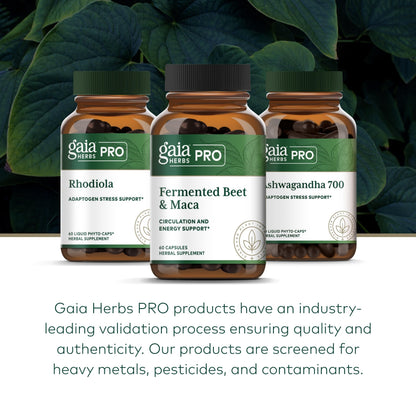 GAIA Herbs PRO Fermented Beet & Maca – Energy & Circulation Support (60 Capsules)