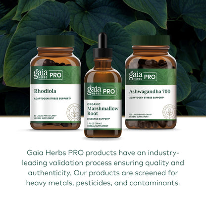 GAIA HERBS PRO Organic Marshmallow Root - Digestive Health Support Supplement* - GI Health Supplement* with Organic Marshmallow Root Extract - 2 fl oz (35 Servings)