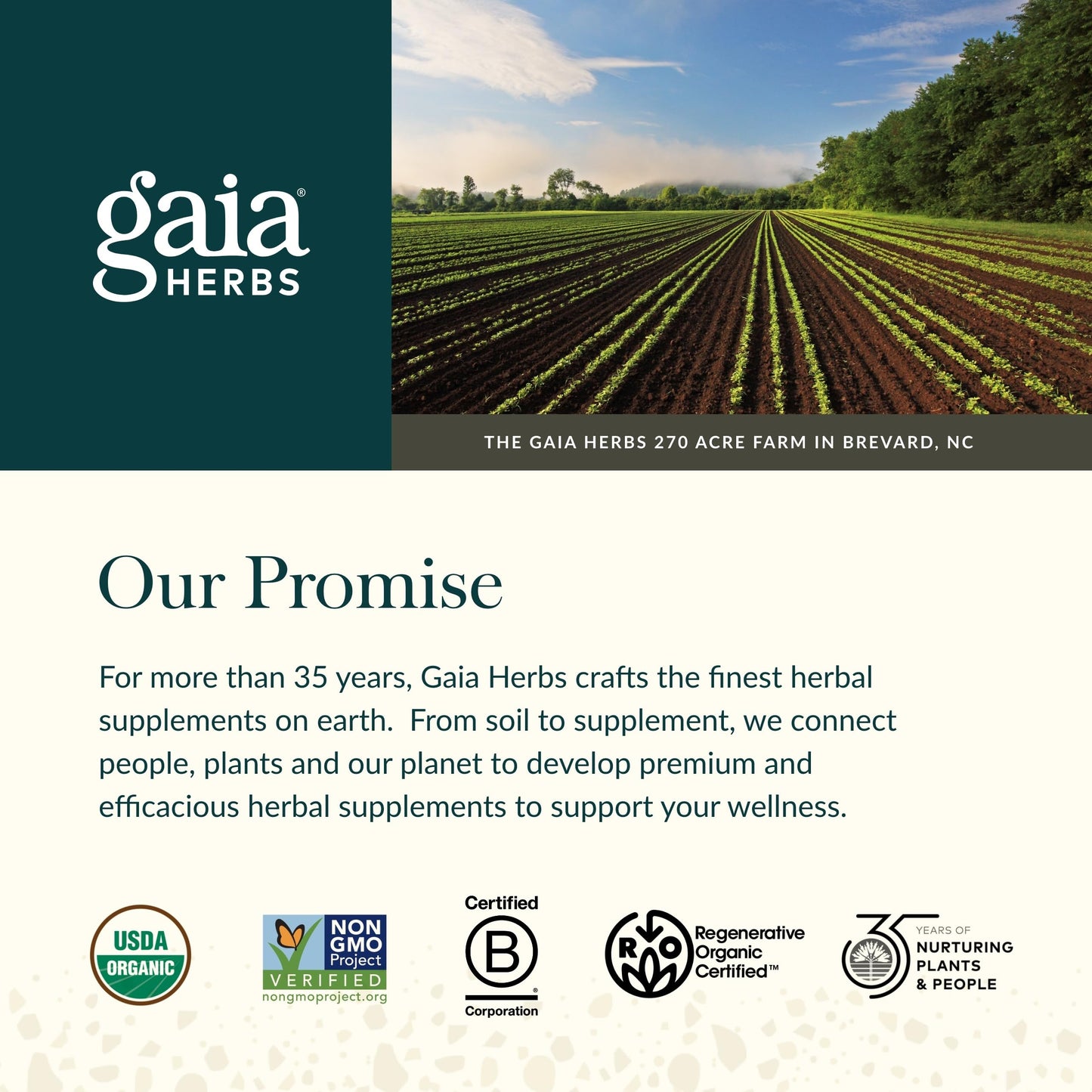 Gaia Herbs Sauerkraut Postbiotic - Natural Gut Health & Immune Support - 60 Vegan Capsules