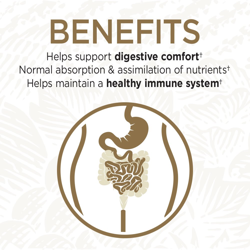 Garden of Life Primal Defense Ultra Probiotics – 15B CFU, 13 Strains, 180 Capsules | Vegetarian & Gluten Free