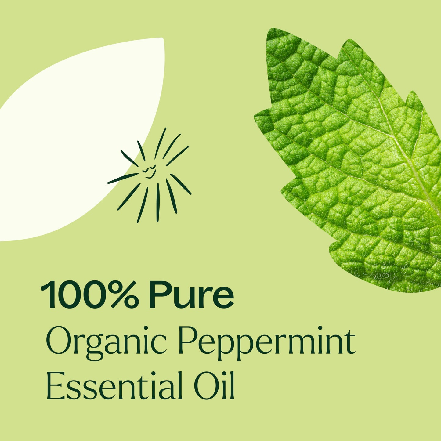 Plant Therapy Organic Peppermint Essential Oil – 100% Pure, USDA Organic, 100 mL