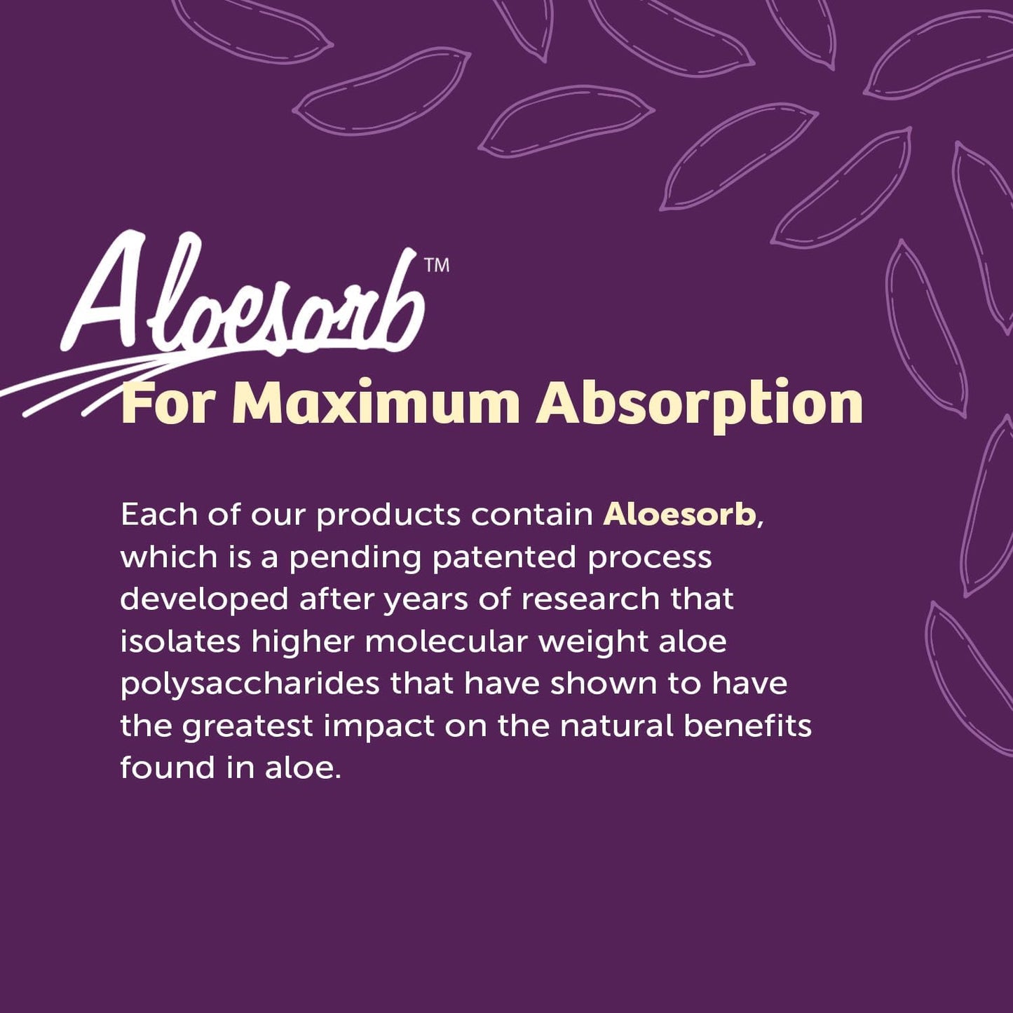 Lily of the Desert Aloe Vera Stomach Formula – Digestive Wellness, 32 oz