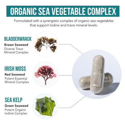 Organic Iodine Supplement from Sea Vegetables – Whole Food & Raw (250 mcg)