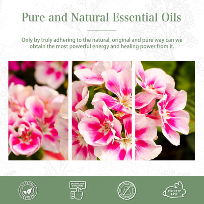 Geranium Essential Oil 100ml | PHATOIL Aromatherapy for Diffuser, Humidifier & DIY Candles