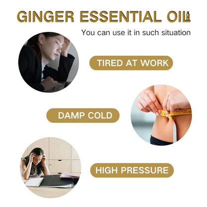 5PCS Ginger Essential Oil for Skin Care (10ml) | Ginger Oil Massage