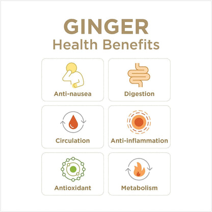 Ginger Rescue Chewable Tablets – The Ginger People | Drug Free Digestive Health, Strong Ginger Flavor, 24 Tablets