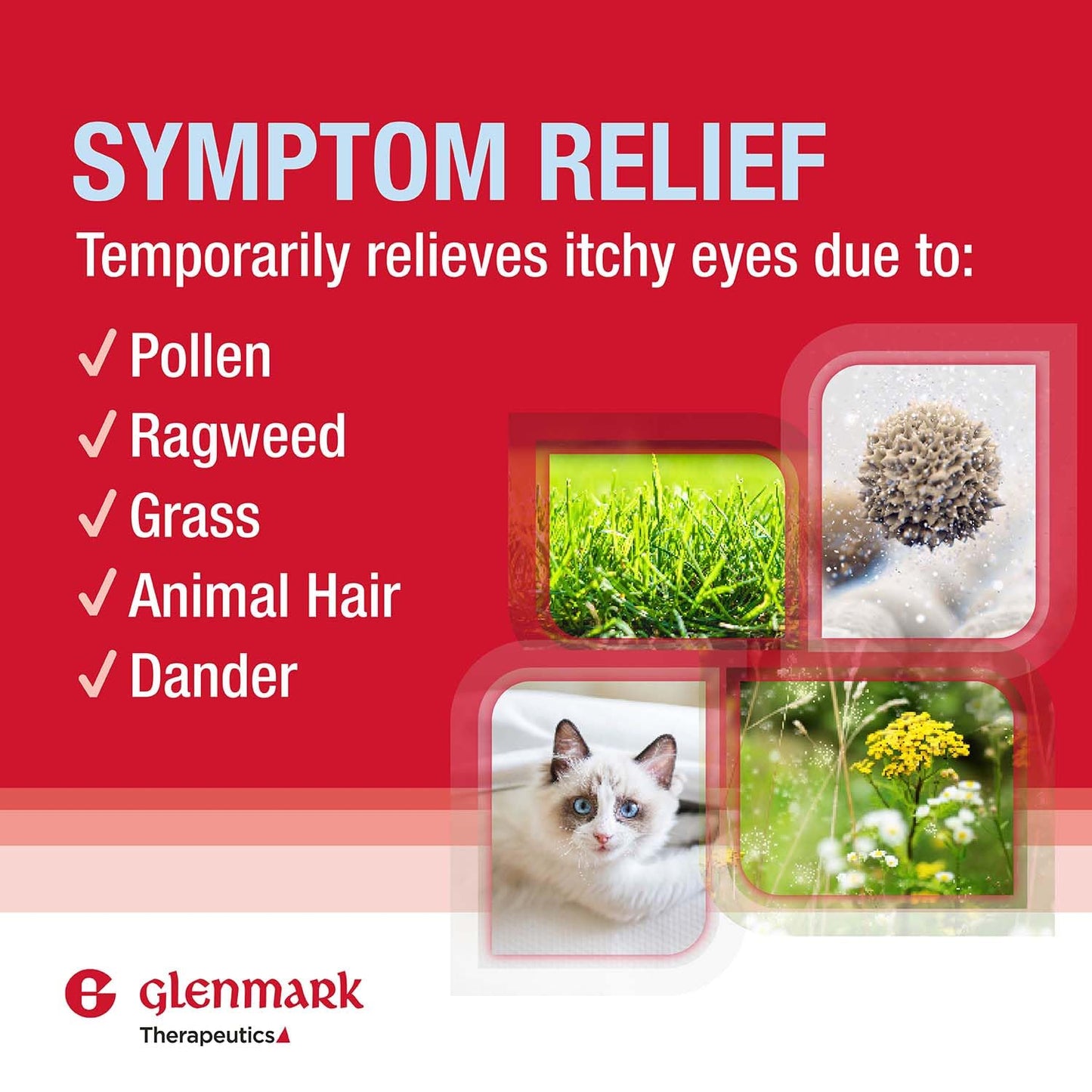 Glenmark Therapeutics Once Daily Olopatadine Eye Drops – Allergy Relief, 0.2%, Twin-Pack