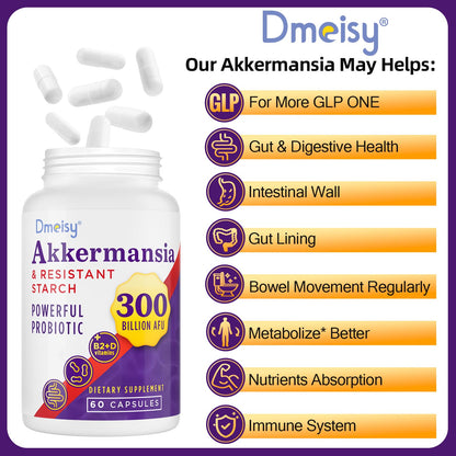 Dmeisy Akkermansia Muciniphila Supplement – 300B AFU Probiotic for Gut Health | 120 Count