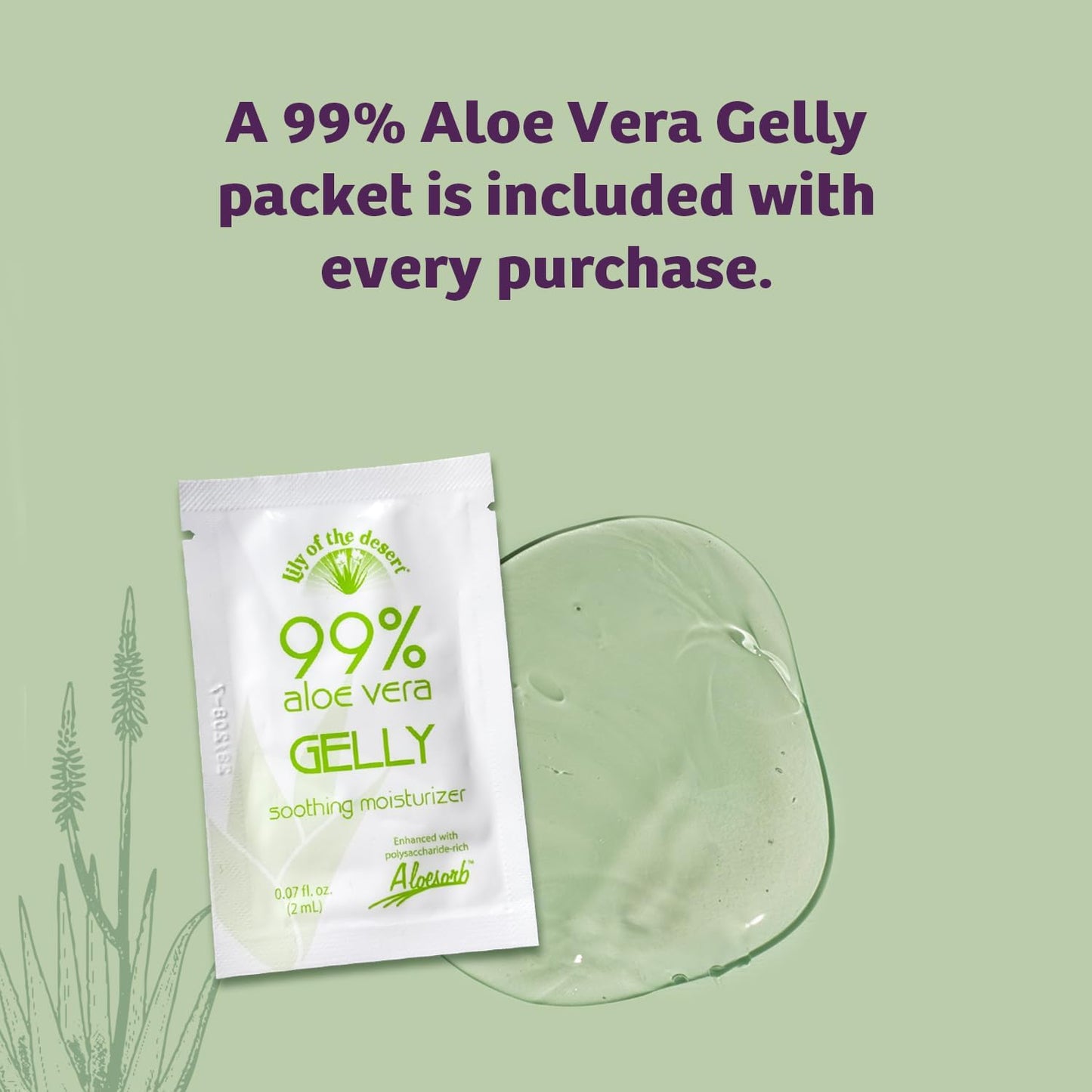 Lily of the Desert Aloe Vera Stomach Formula – Digestive Wellness, 32 oz