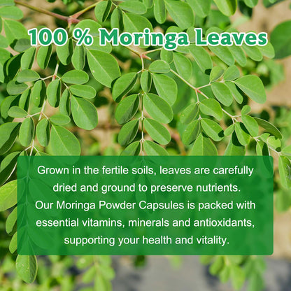 Moringa Powder Capsules | Pure Moringa Leaf – 800mg per Capsule, 120 Vegan Capsules