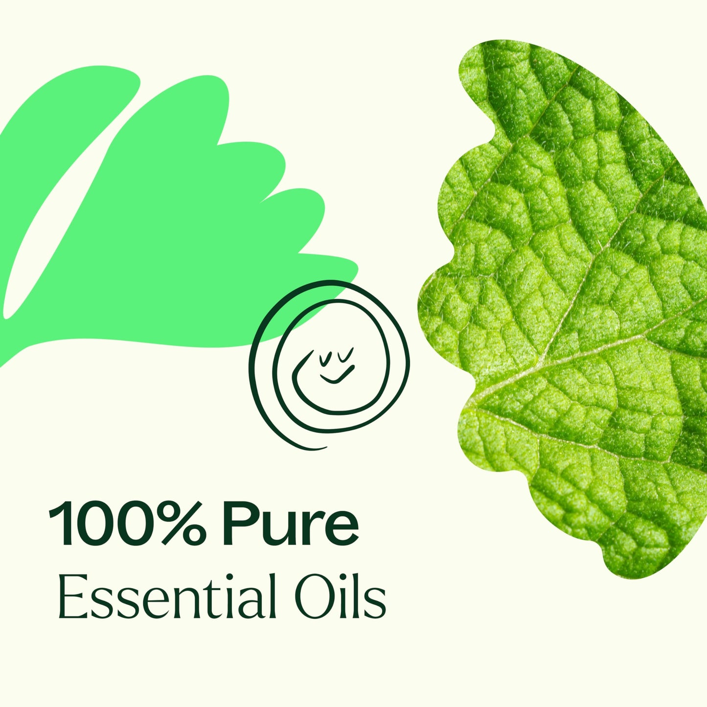 Plant Therapy Gut Aid Essential Oil Blend Roll-On 10 mL – Natural Digestion Support