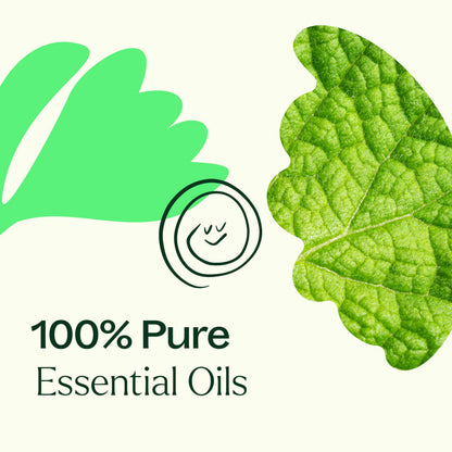 Plant Therapy Gut Aid Essential Oil Blend Roll-On 10 mL – Natural Digestion Support