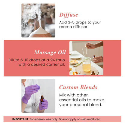 Handcraft Blends Grapefruit Essential Oil - 1 fl oz | 100% Pure & Natural, Premium Grade