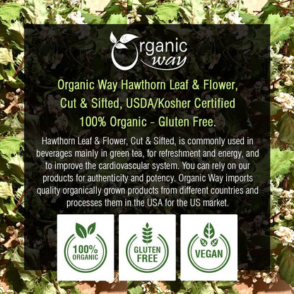 Organic Hawthorn Leaf & Flower Cut & Sifted – Herbal Tea (Crataegus monogyna), Albania (4 Oz) | Non-GMO, Gluten Free, Kosher, USDA Certified