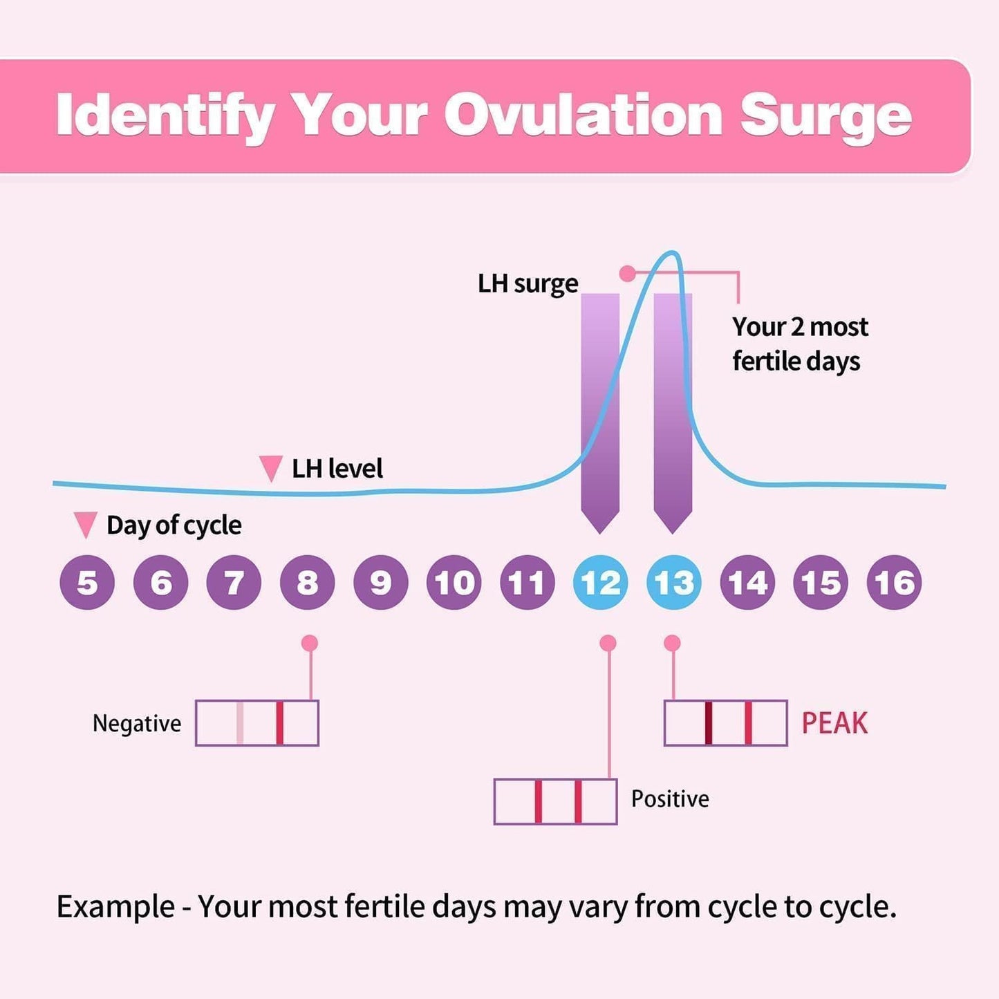 HEAL-CHECK 40 Count Ovulation Test Strips with Cups – Ovulation Predictor Kit, Bulk LH Tests for Home