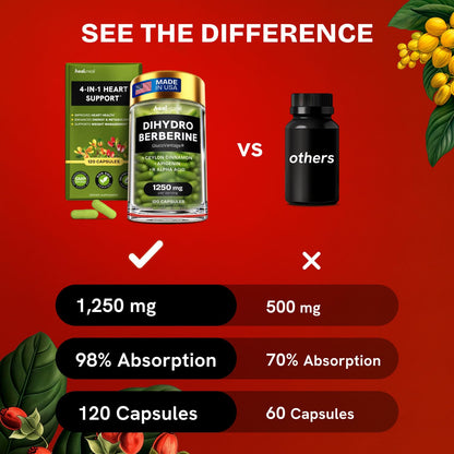 HealMeal Dihydroberberine Supplement - Enhanced Absorption with Cinnamon & R Alpha Lipoic Acid - 480 Caps (4 Packs)