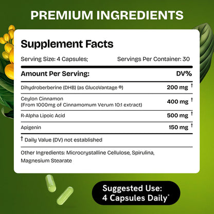 HealMeal Dihydroberberine Supplement - Enhanced Absorption with Cinnamon & R Alpha Lipoic Acid - 480 Caps (4 Packs)
