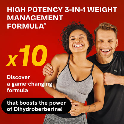 HealMeal Dihydroberberine Supplement - Enhanced Absorption with Cinnamon & R Alpha Lipoic Acid - 480 Caps (4 Packs)