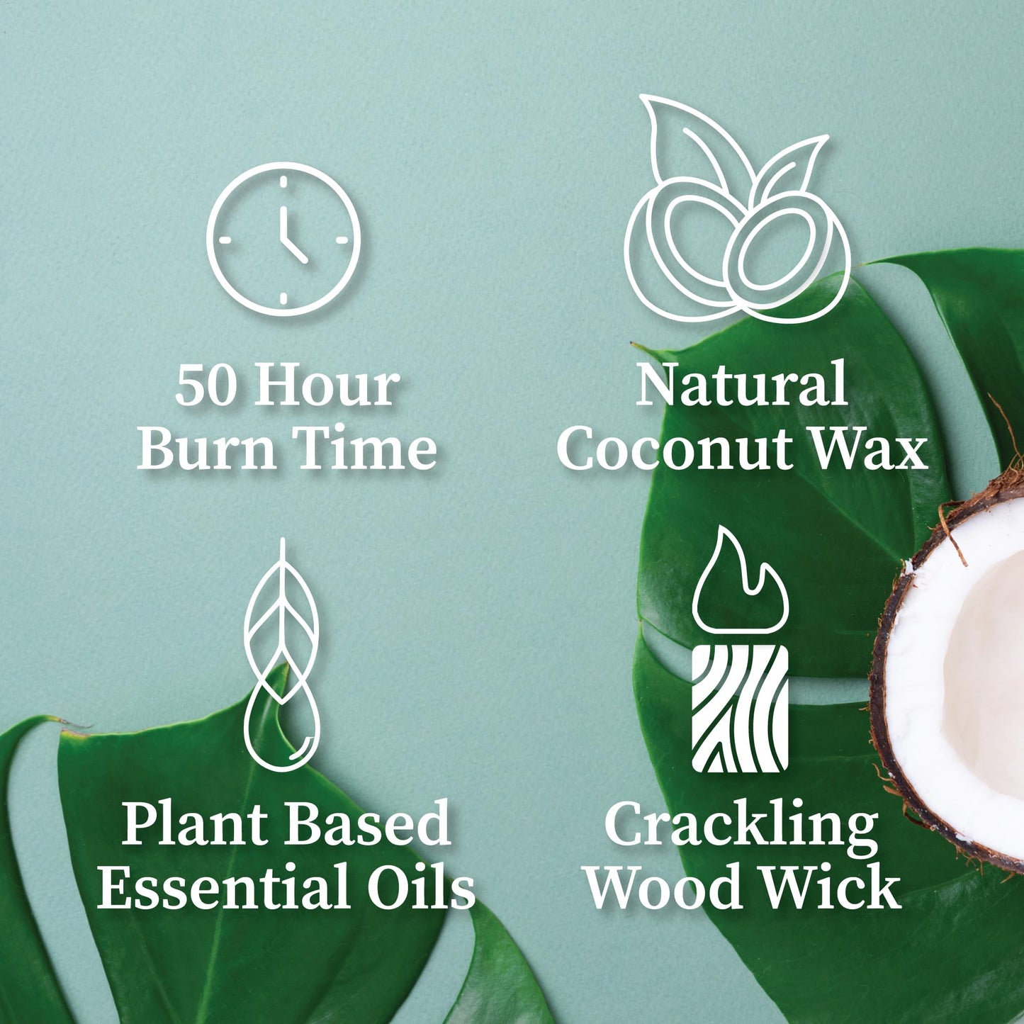 Hemlock Park Amber & Gold Wood Wick Candle – 7.2 oz | Palo Santo Mountain Sage