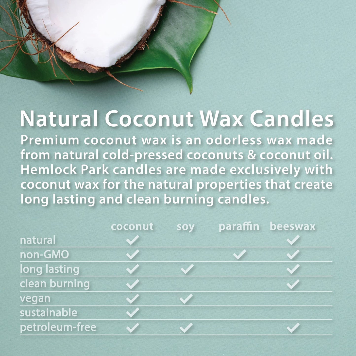 Hemlock Park Crackling Wood Wick Candle | Oud Forest, 8 oz Natural Coconut Wax