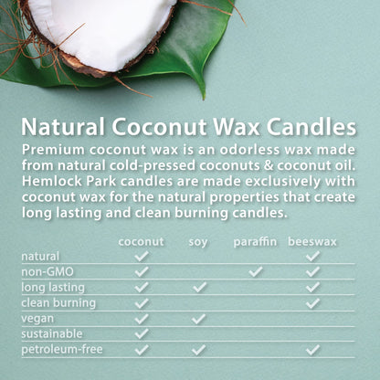 Hemlock Park Crackling Wood Wick Candle | Oud Forest, 8 oz Natural Coconut Wax